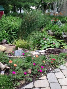 a garden with lots of flowers and plants next to a pond in the middle of it