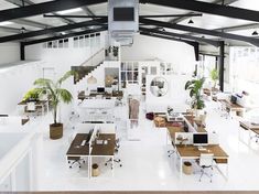 an open office with lots of desks and plants in the middle of the room