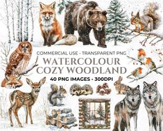 watercolour cozy woodland animals digital clipart set for commercial use - transparent and png