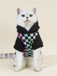 a white cat with blue eyes wearing a black and green checkerboard hoodie