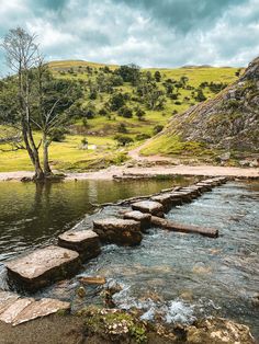 stepping stones across a stream in the middle of a green valley with trees and grass