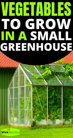 a small greenhouse with the words vegetables to grow in a small greenhouse