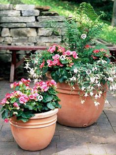 two large potted plants sitting on top of a brick patio