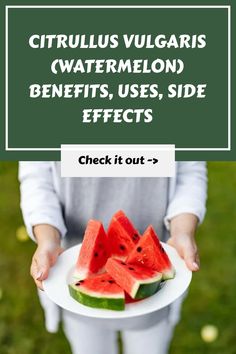 a person holding a plate with slices of watermelon on it and the words ctrullus vugaris watermelon benefits, uses side effects