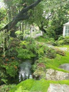 a small stream running through a lush green forest next to a white house in the distance