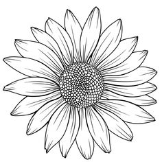 a black and white drawing of a large sunflower with petals on it's center