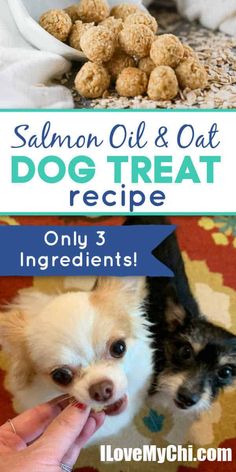 two pictures with dog treats in them and the words salmon oil & oat dog treat recipe