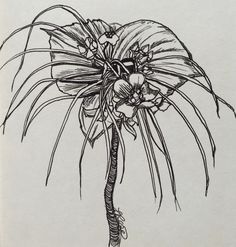 a drawing of a palm tree with flowers on it