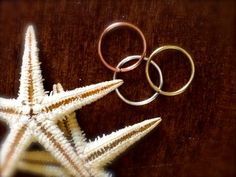 two gold wedding rings sitting next to a starfish on top of a wooden table