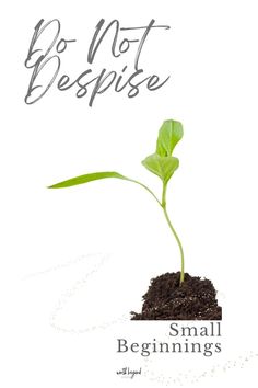 A seedling growing up out of the dirt and text that says Don't Despise Small Beginnings and the Worth Beyond Rubies logo underneath Prayer Inspiration, Whisper In Your Ear, Feeling Frustrated, Make You Believe, Sound Of Rain, The Small Things, Quotes Bible, Faith Prayer, Christian Blogs