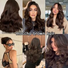 Mocha Brown Hair Color, Brown Hair Inspiration, Hair Curling Tips, Hair Inspiration Long, Types Of Hair, Hairstyles For Layered Hair