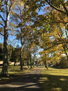 the path is lined with trees and grass