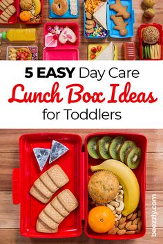 lunch box ideas for toddlers that are easy to make