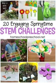 Butterfly Science Activities, Spring Stem Activities, Spring Stem, Spring Science, Spring Preschool, Steam Activities