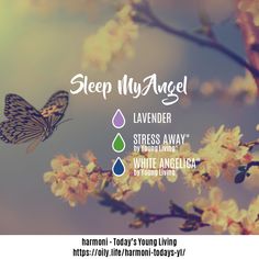 Nighttime Diffuser Blends, Essential Oil Recipes Diffuser Sleep, Yl Diffuser Blends, Sleeping Essential Oil Blends, Body Scrub Ideas, White Angelica, Living Oils Recipes