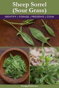 some green herbs are in a wooden bowl and on the table is a spoon with leaves