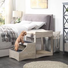 a dog standing on top of a step in a bedroom