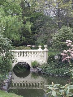 a white bridge over a small pond surrounded by trees and bushes with pink flowers in the foreground