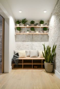 a living room filled with lots of plants on shelves next to a wall mounted planter