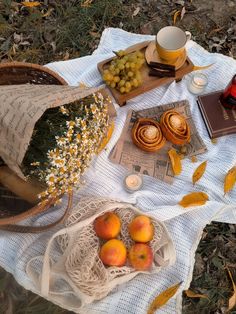 a picnic with fruit, bread and wine on a blanket in the grass next to an open book