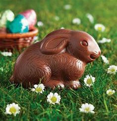 a chocolate bunny sitting in the grass next to an easter basket with eggs and daisies