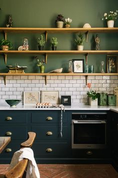 a kitchen with green walls and shelves filled with potted plants