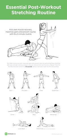 an instruction manual on how to do the post - workout stretching routine