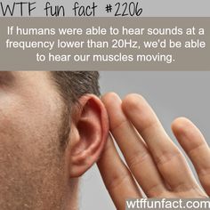 If humans can hear hear sounds at frequency lower than 20Hz - WTF fun facts Ponytail Bump, Inner Ear, Cleveland Clinic, Hearing Loss, Listening Skills, Hearing Aids, Listening To You, Fun Facts, Media