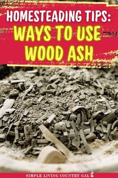 Looking for how to easily use wood ash and ways to repurpose them? We’ve got you covered with tips for your garden, animals, and home! Learn how wood ash can enrich soil, deter pests, and even help with cleaning. Get eco-friendly and make the most of every bit!