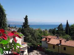 a view of the ocean from an apartment building in nice weather, with poinsettis and trees