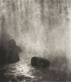 an old photo of birds flying in the air over water and rocks on a foggy day