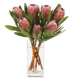 a vase filled with pink flowers and green leaves