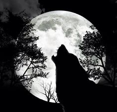 a wolf standing in front of a full moon with an image of a woman playing the cello