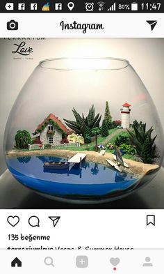 a fish bowl with an island in it