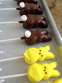 chocolate covered marshmallows are lined up on a baking sheet and ready to be eaten