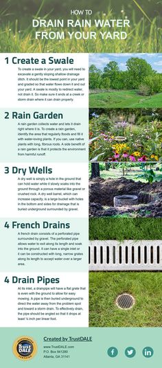 a brochure with instructions on how to use rain water from your yard in the garden