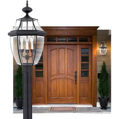 a lamp post in front of a wooden door with two lights on each side and potted plants next to it