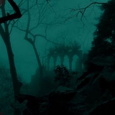 a dark forest filled with lots of trees covered in fog and light blue mists