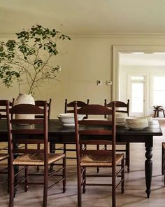 a dining room table with chairs and a potted plant in the center on top