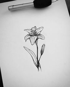 a pencil drawing of a flower on top of a piece of paper next to a pen