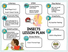 insects lesson plan for kids with pictures and text on the front page, including an insect theme