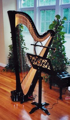 a large black harp sitting on top of a wooden floor next to a piano and potted plant