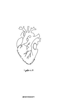 a black and white drawing of a human heart