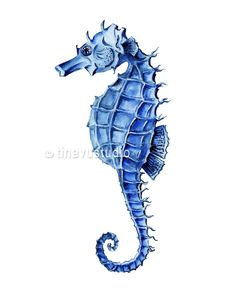 a drawing of a blue seahorse on a white background with watercolor pencils