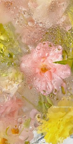 some pink and yellow flowers are in the water with bubbles on it's surface