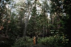 two people standing in the middle of a forest