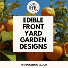 an orange tree with the words edible front yard garden designs