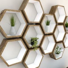 several hexagonal shelves with plants and vases on them are arranged in the shape of honeycombs