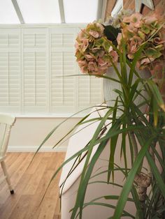 a white chair sitting next to a plant on top of a hard wood floor