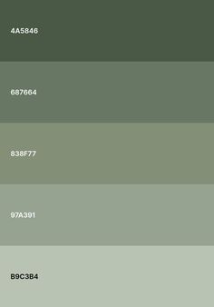 the shades of green and gray are shown in this color palette, which is very similar to